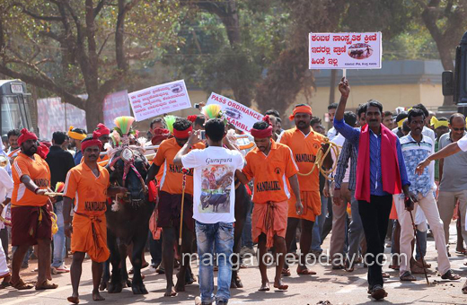 Kambla protest in moodbidri